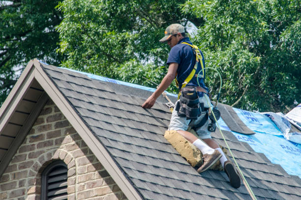 Best Roof Maintenance Services  in Red Springs, NC